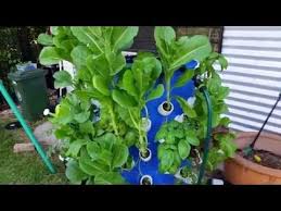 27 Incredible Tower Garden Ideas For Homesteading In Limited Space Tower Garden Aeroponics Hydroponic Gardening