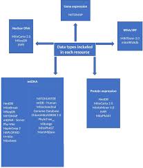 The inner membrane space and the matrix. Frontiers Mitochondrial Toolbox A Review Of Online Resources To Explore Mitochondrial Genomics Genetics
