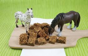 Bananenleckerli Furs Lieblingspferd Pferde Kuchen Geschenke Fur Reiter Leckerli