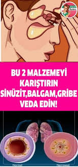 pin on saglik
