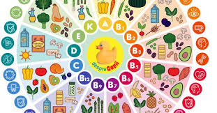 Se face paine la 10 zile. Dictionarul Vitaminelor Ghid Complet Desprecopii Com