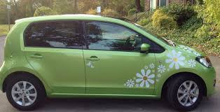 Don't see the perfect design for you? Crazy Daisy Car Stickers