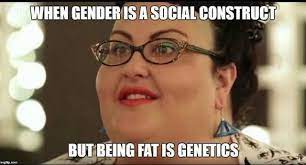 When Gender Is A Social Construct But Being Fat Is Genetics