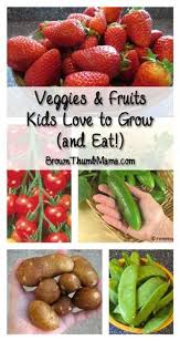 Vegetables And Fruits Kids Love To Grow Kids Vegetables Gardening For Kids Fruits And Veggies