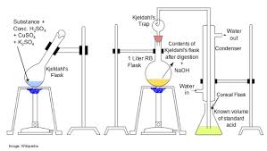 Pdf] Determination Of Total Proteins In Cow Milk Powder Samples: A  Comparative Study Between The Kjeldahl Method And Spectrophotometric Methods.  | Semantic Scholar