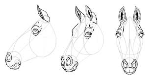 Then, draw a round, black eye on each side of the snout, followed by nostrils and a mouth at the end of the snout. Sketchbook Original How To Draw Horses Monika Zagrobelna