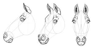 How to draw a mustang, horse. Sketchbook Original How To Draw Horses Monika Zagrobelna