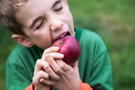 Boy Takes Bite Of Freshly Picked Apple" by Stocksy Contributor "Cara Dolan" 