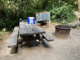 Check spelling or type a new query. Picnic Table Fire Pit And Bear Box Picture Of Elk Prairie Campground Orick Tripadvisor