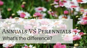 Maybe you would like to learn more about one of these? Annuals Vs Perennials What S The Difference