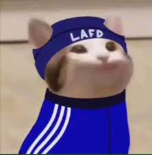 Browse thousands of pepe emojis with different expressions such as pepesip, peperun and more. Catquity In 2021 Pop Cat Dream Team Ipad Kids