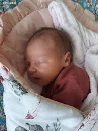 Nidzica. Witajcie na świecie