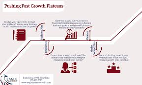 Growth Plateaus Small Business Advice Small Business Growth Cash Flow Plan