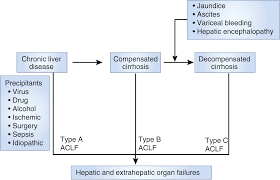 Acute Kidney Injury In Acute On Chronic Liver Failure Where Does Hepatorenal Syndrome Fit Kidney International