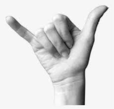 Italian Hand Png Transparent Italian Hand Png Image Free Download Pngkey