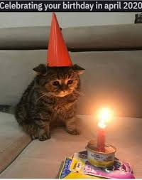 Pin On Birthday Yeah