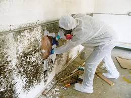 These businesses meet our standards of certification, which include heather exceeded my expectations on her inspection. Mold Inspection Mold Testing In Katy Tx