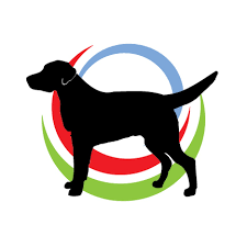 We did not find results for: Pets For Adoption At Labrador Retriever Rescue Of Florida Lrrof Inc In Altamonte Springs Fl Petfinder