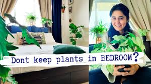 Succulents, orchids, cacti, air plants, pothos, rubber plants Don T Keep Indoor Plants In Bedroom Buy Plants That Give Out Oxygen At Night Youtube