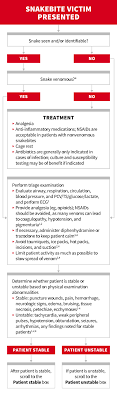 snake envenomation clinicians brief