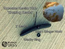 My personal preference is crappie, but i have caught some very nice smallmouth on lake owen. How To Fish A Senko Wacky Rig For Bass Topwater Style
