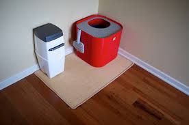 Check spelling or type a new query. How Often Do I Really Need To Clean My Cat S Kitty Litter Box Dr Justine Lee Dr Justine Lee