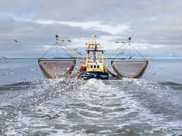 Image result for trawling