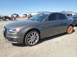 Image result for Dakota Gray 2014 AQ