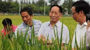 62个白血病病人的样本中，由26个外周血peripheral blood (pb)样本，19个骨髓bone marrow (bm)样本，17个淋巴结lymph nodes (ln)样本组成。 è¢éš†å¹³å¯¹è½¬åŸºå› çš„æ€åº¦ ä»Žæ¥æœªæ›¾ä¸­ç«‹ ä¸å–ç²®ç»™ä¸­å›½ å'±å°±éº»çƒ¦äº† æ–°é—» è›‹è›‹èµž