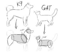 Pin By Dasha Purnell On How 2 Cat Canine Drawing Animal Drawings Animal Sketches