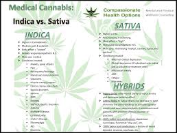 Indica Sativa Comparison Chart