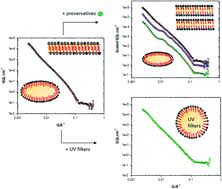 Shop from a range of innovative formulations to suit every lifestyle. Insights Into The Structure Of Sunscreen Lotions A Small Angle Neutron Scattering Study Rsc Advances Rsc Publishing