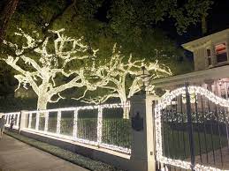 Beautiful light fixture, much heavier copper and metal than expected at the price. St Charles Avenue Homeowners Light Up Majestic Oak Trees After Hiatus Uptown Messenger