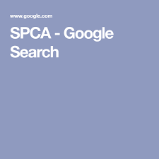 spca google search spca google search google
