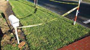 Mow and go, bayshore lawn and land services, llc, conserva irrigation of virginia beach, lj's lawns, lights, and jobs llc, ar landscapes, llc. 5 Tips For Establishing A New Lawn In Va Beach Lawnstarter