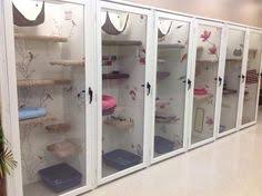 Dog and cat daycare at barkz in olean ny. 190 Cat Daycare Ideas Cat Daycare Cat Room Cat Diy