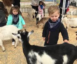 Mobile petting zoo and reindeer rentals in cincinnati, oh. 5 Animal Party Entertainers Houston Kids Will Go Wild For Mommypoppins Things To Do In Houston With Kids