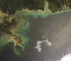 Scientists are hoping to combat. Tracking Oil Slicks And Predicting Their Trajectories Using Remote Sensors And Models Case Studies Of The Sea Princess And Deepwater Horizon Oil Spills