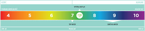 Ph Level The Definitive Guide To A Balanced Body Santevia