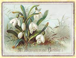Victorian Card Snowdrop Flowers R Tuck Ebay Witte Bloemen Bloemen Prints