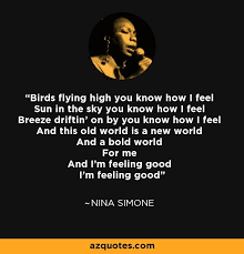 Birds Flying High Lyrics Karaoke Birds Flying High You Know How I Feel Sun In The Sky You Know How I Feel Breeze Driftin On By You Know How I Feel A Birds Flying Fly Quotes