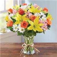 Maybe you would like to learn more about one of these? Sympathy Gifts Flowers Corpus Christi Tx Same Day Same Day Flower Delivery Delivery