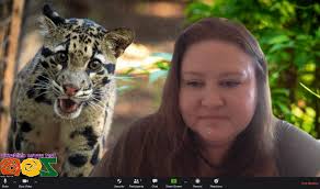 Https Encrypted Tbn0 Gstatic Com Images Q Tbn 3aand9gcswserg2dnv8 U64e7y4hs7ktmg 100okcq5q Usqp Cau