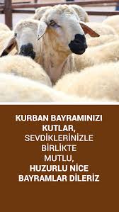 29 ekim cumhuriyet bayramı fener alayı ve konser. Kurban Bayrami Mesajlari Indir Sosyal Medyada Paylas