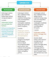 We did not find results for: Materi Dan Kunci Jawaban Tematik Kelas 5 Tema 5 Subtema 2 Halaman 85 86 87 89 Gawe Kami