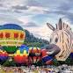 53rd Annual Helen to the Atlantic Balloon Race event image