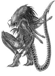 These are some of the xenomorph head designs from the aliens movies. Pin On Xenomorph Alien Concept Art