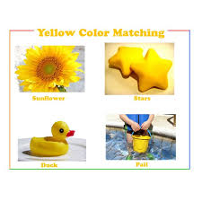 Printable number flashcards for teaching number flashcards number flash card for teaching number easy to print on a4 with dotted. Color Word Flash Cards For Teaching Young Children The Names Of Colors Brighthub Education