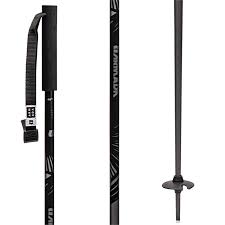 Armada Triad Ski Poles 2020