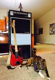 Pin On Fender Basses